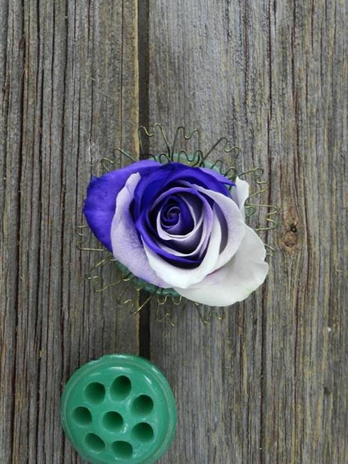 PURPLE & WHITE   TINTED ROSE